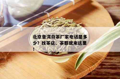 北京普洱白茶厂家电话是多少？找茶店、茶都就来这里！