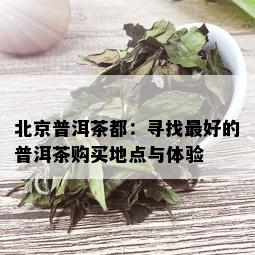 北京普洱茶都：寻找更好的普洱茶购买地点与体验