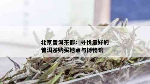 北京普洱茶都：寻找更好的普洱茶购买地点与博物馆