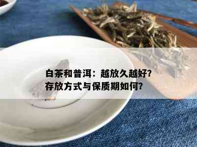 白茶和普洱：越放久越好？存放方式与保质期如何？