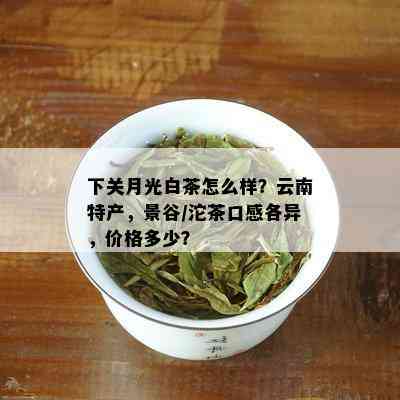 下关月光白茶怎么样？云南特产，景谷/沱茶口感各异，价格多少？