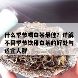 什么季节喝白茶更佳？详解不同季节饮用白茶的好处与适宜人群