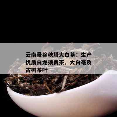 云南景谷秧塔大白茶：生产优质白龙须贡茶、大白毫及古树茶叶