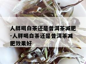 人胖喝白茶还是普洱茶减肥-人胖喝白茶还是普洱茶减肥效果好