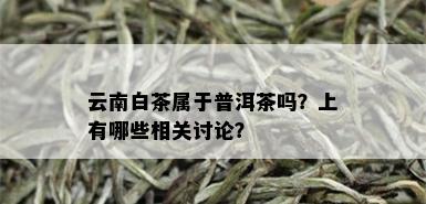 云南白茶属于普洱茶吗？上有哪些相关讨论？