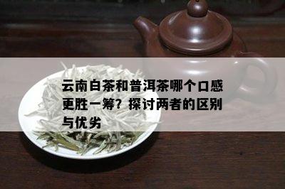 云南白茶和普洱茶哪个口感更胜一筹？探讨两者的区别与优劣