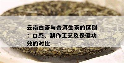 云南白茶与普洱生茶的区别：口感、制作工艺及保健功效的对比