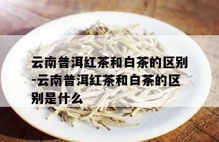 云南普洱红茶和白茶的区别-云南普洱红茶和白茶的区别是什么