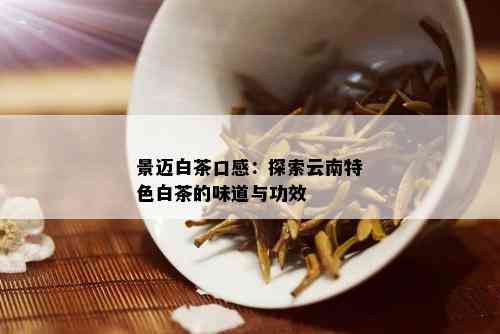 景迈白茶口感：探索云南特色白茶的味道与功效