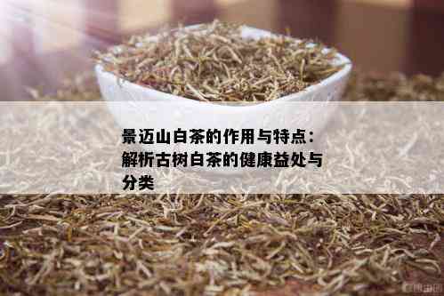 景迈山白茶的作用与特点：解析古树白茶的健康益处与分类