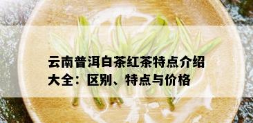 云南普洱白茶红茶特点介绍大全：区别、特点与价格