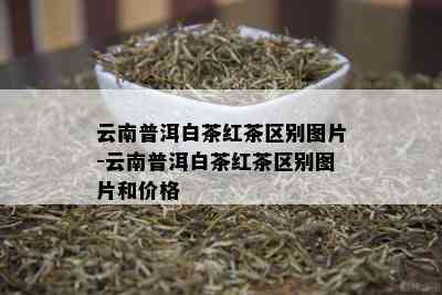 云南普洱白茶红茶区别图片-云南普洱白茶红茶区别图片和价格