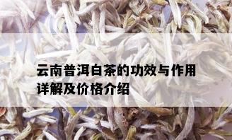 云南普洱白茶的功效与作用详解及价格介绍