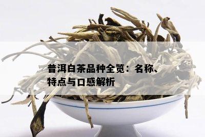 普洱白茶品种全览：名称、特点与口感解析