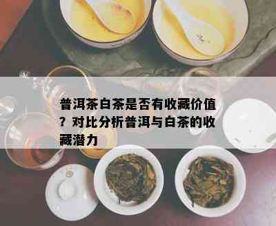 普洱茶白茶是否有收藏价值？对比分析普洱与白茶的收藏潜力