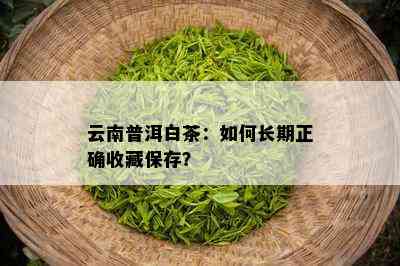 云南普洱白茶：如何长期正确收藏保存？