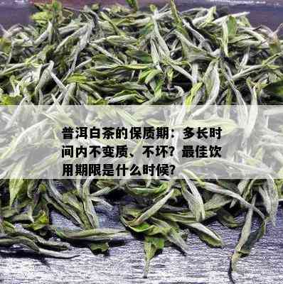 普洱白茶的保质期：多长时间内不变质、不坏？更佳饮用期限是什么时候？