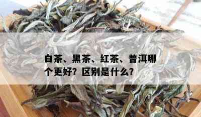 白茶、黑茶、红茶、普洱哪个更好？区别是什么？