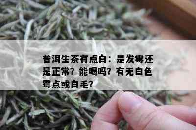 普洱生茶有点白：是发霉还是正常？能喝吗？有无白色霉点或白毛？