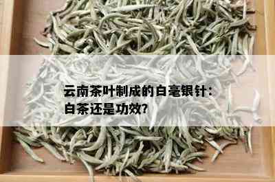 云南茶叶制成的白毫银针：白茶还是功效？