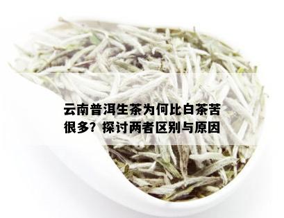 云南普洱生茶为何比白茶苦很多？探讨两者区别与原因