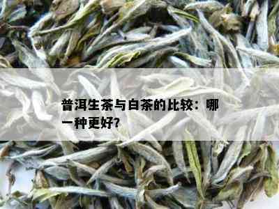 普洱生茶与白茶的比较：哪一种更好？