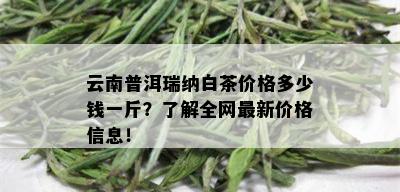 云南普洱瑞纳白茶价格多少钱一斤？了解全网最新价格信息！