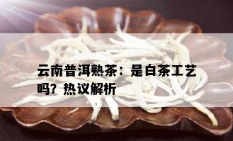 云南普洱熟茶：是白茶工艺吗？热议解析