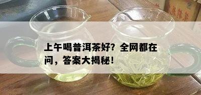 上午喝普洱茶好？全网都在问，答案大揭秘！