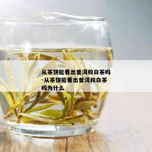 从茶饼能看出普洱和白茶吗-从茶饼能看出普洱和白茶吗为什么