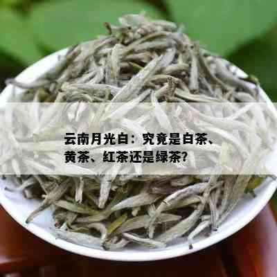 云南月光白：究竟是白茶、黄茶、红茶还是绿茶？