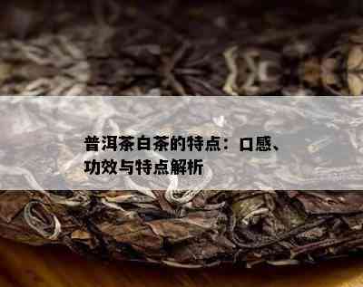 普洱茶白茶的特点：口感、功效与特点解析