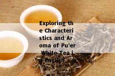 Exploring the Characteristics and Aroma of Pu'er White Tea in English