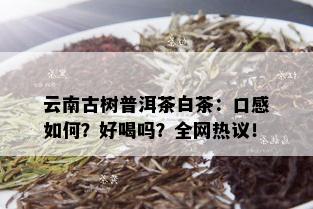 云南古树普洱茶白茶：口感如何？好喝吗？全网热议！