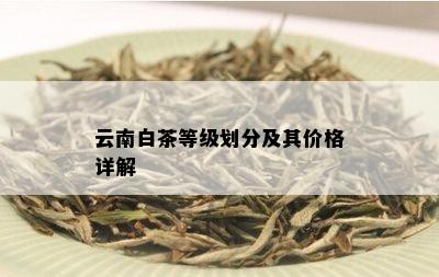 云南白茶等级划分及其价格详解