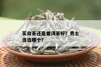 买白茶还是普洱茶好？男士该选哪个？