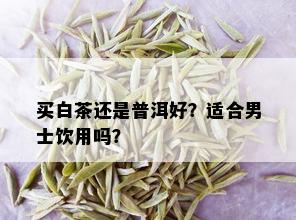 买白茶还是普洱好？适合男士饮用吗？