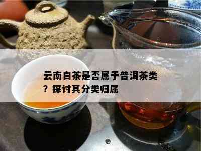 云南白茶是否属于普洱茶类？探讨其分类归属