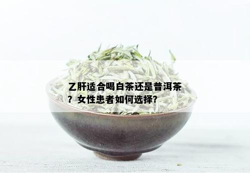 乙肝适合喝白茶还是普洱茶？女性患者如何选择？