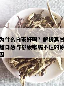 为什么白茶好喝？解析其甘甜口感与舒缓喉咙不适的原因