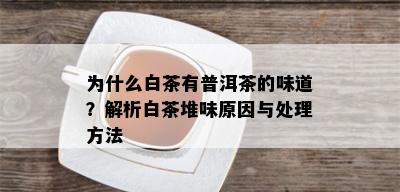 为什么白茶有普洱茶的味道？解析白茶堆味原因与处理方法