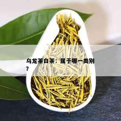 乌龙茶白茶：属于哪一类别？