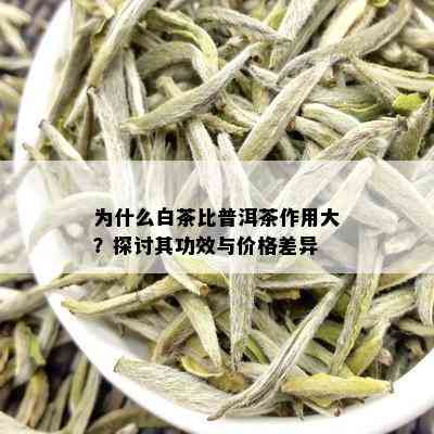 为什么白茶比普洱茶作用大？探讨其功效与价格差异