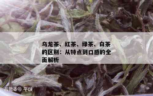 乌龙茶、红茶、绿茶、白茶的区别：从特点到口感的全面解析