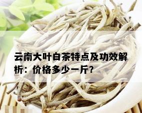 云南大叶白茶特点及功效解析：价格多少一斤？