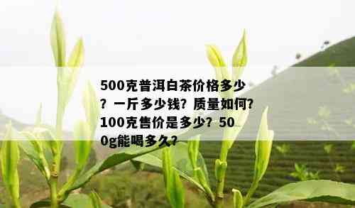 500克普洱白茶价格多少？一斤多少钱？质量如何？100克售价是多少？500g能喝多久？