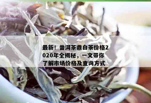 最新！普洱茶鼎白茶价格2020年全揭秘，一文带你了解市场价格及查询方式