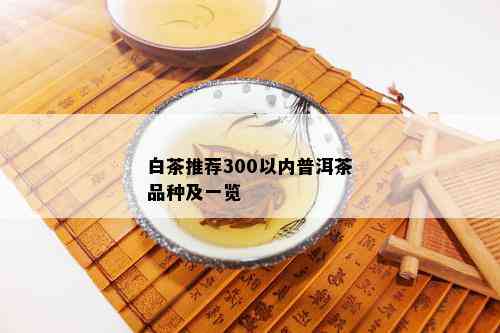 白茶推荐300以内普洱茶品种及一览