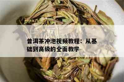 普洱茶冲泡视频教程：从基础到高级的全面教学