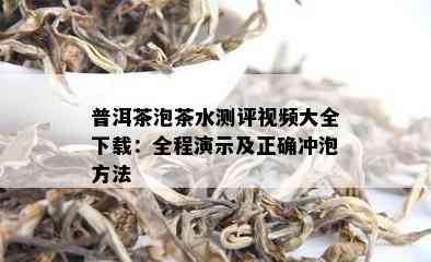 普洱茶泡茶水测评视频大全下载：全程演示及正确冲泡方法